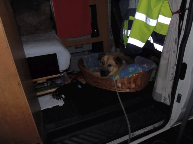 ../fotos/het_verlaat_2017/2017-07-11 23.03.19.jpg